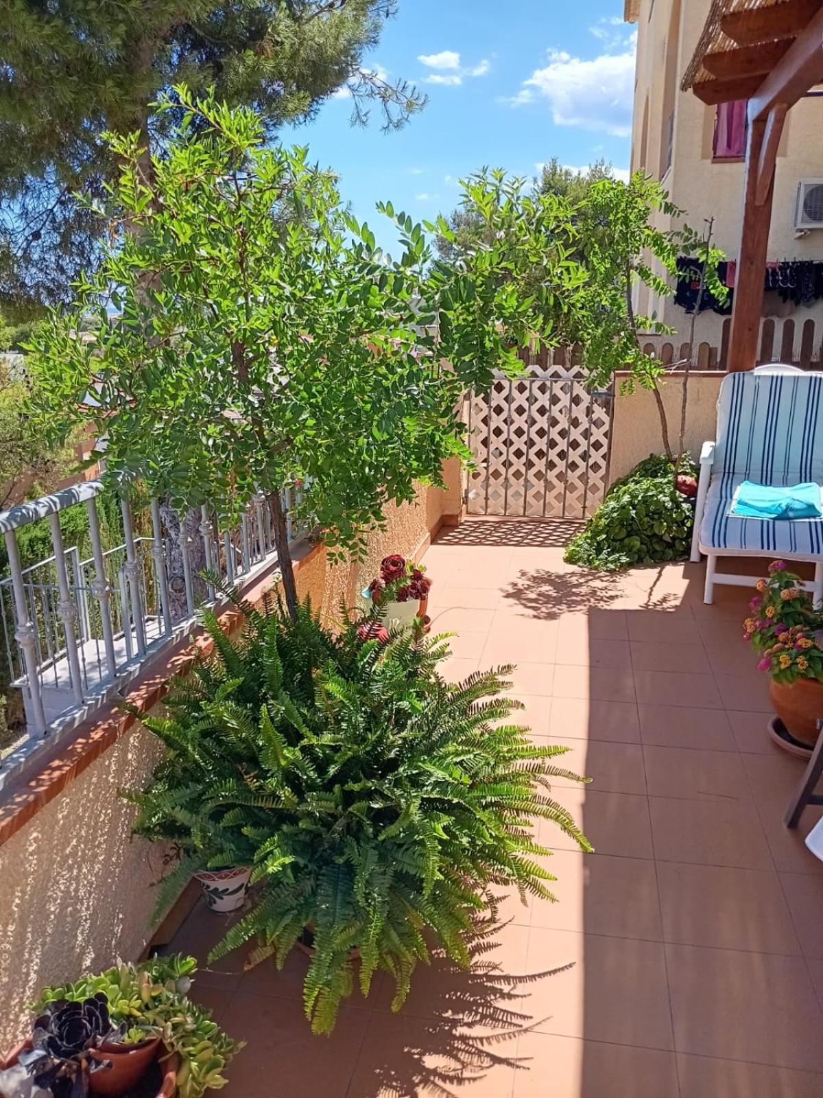 Apartemento Monika Monte Pedrera C 1 Aussicht Apartamento